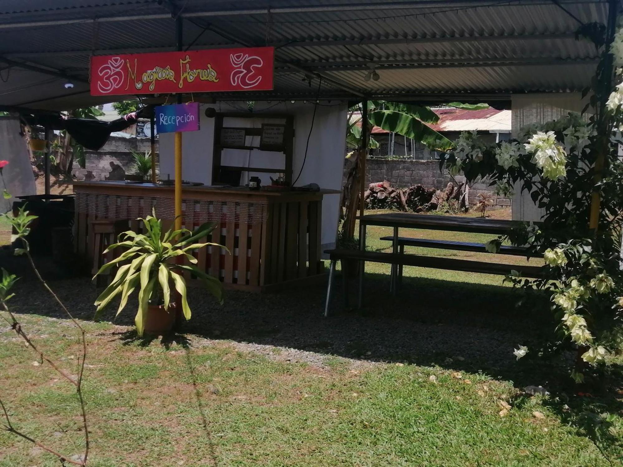 Rooms Palmeras Cahuita Exterior foto